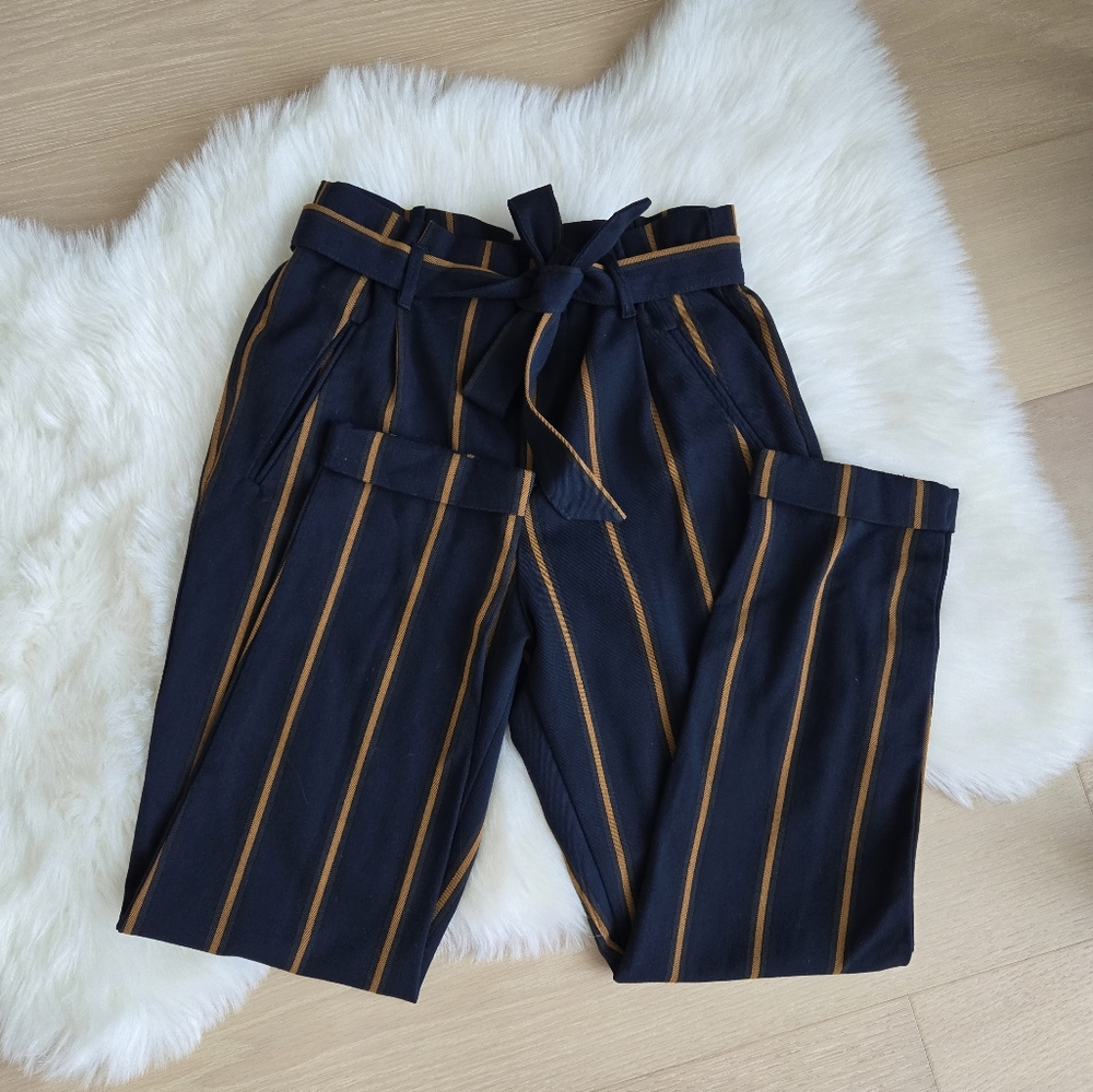 Zara Dark Blue Pants with Brown Stripes